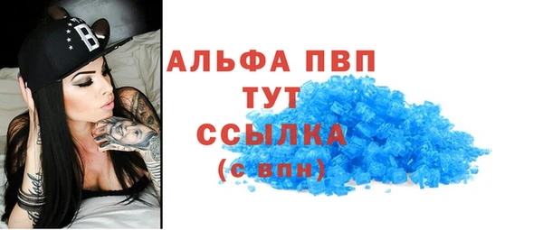 ECSTASY Вяземский