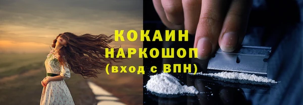 крисы Дмитров