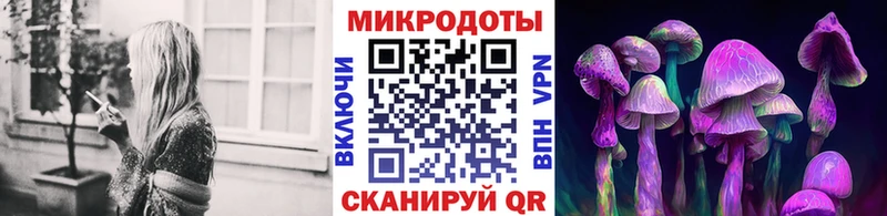 Купить закладки  Приморско-Ахтарск  Псилоцибиновые грибы GOLDEN TEACHER 
